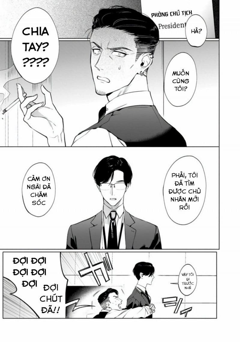 Báo Săn Nơi Công Sở 2 trang 1