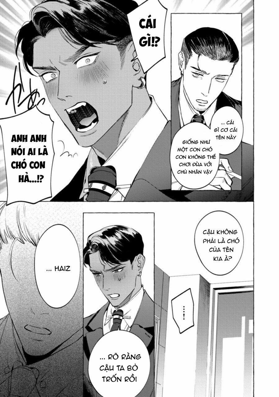 Báo Săn Nơi Công Sở 6 trang 2