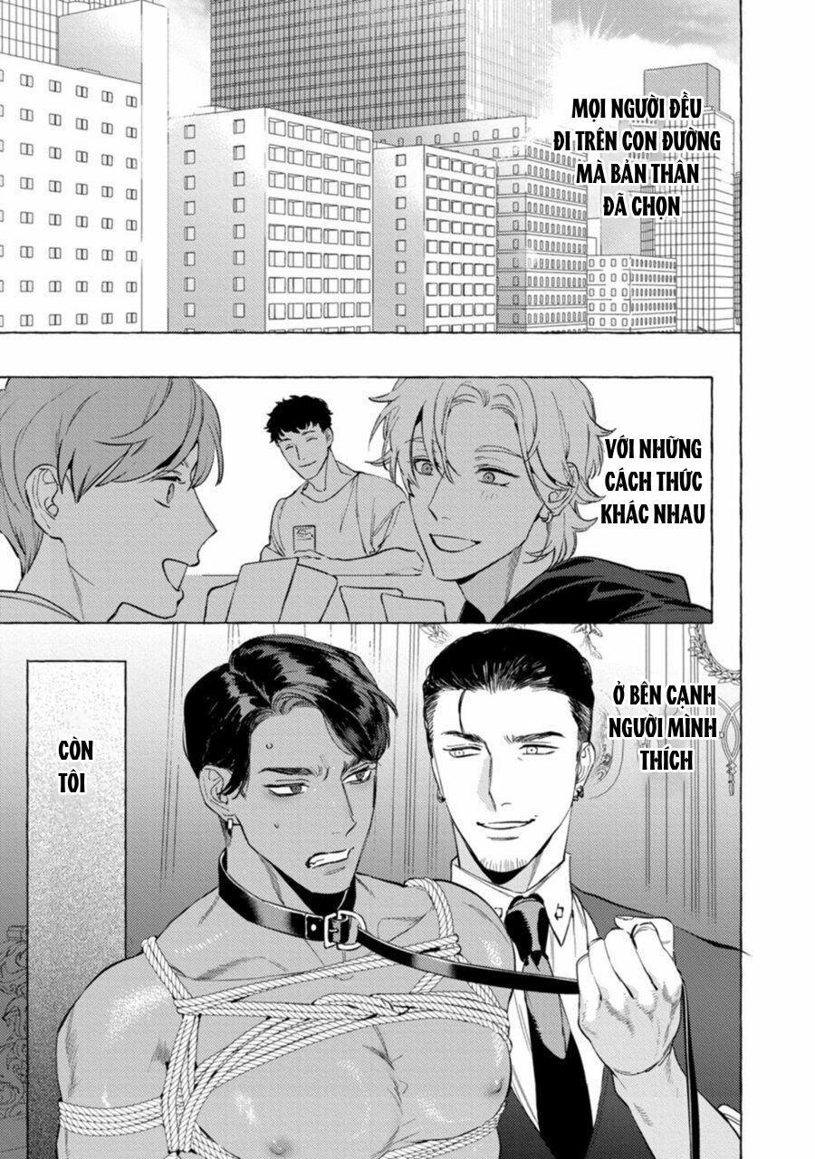 Báo Săn Nơi Công Sở 6 trang 28