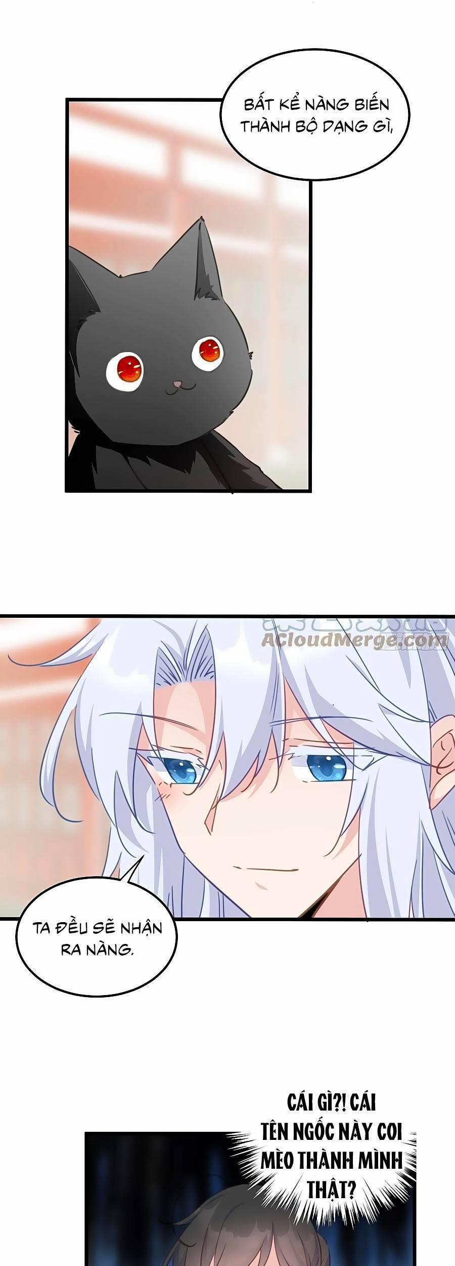 Bạo Sủng Tiểu Manh Phi 120 trang 4