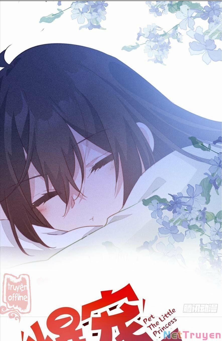 Bạo Sủng Tiểu Manh Phi 93 trang 0