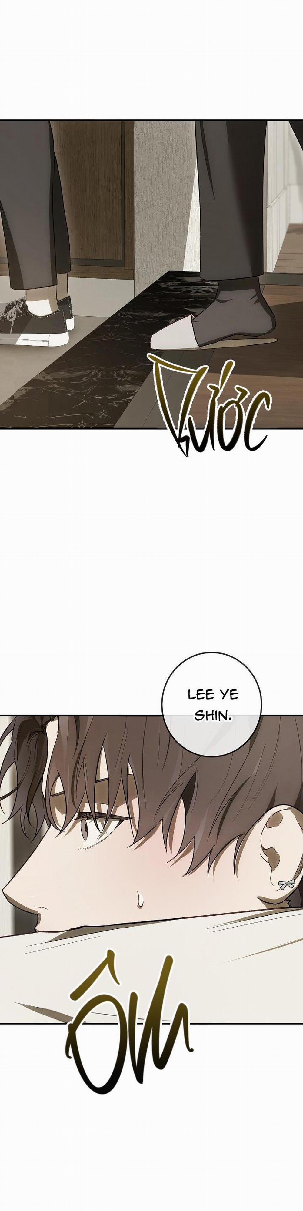 BẢO VẬT 17 trang 28