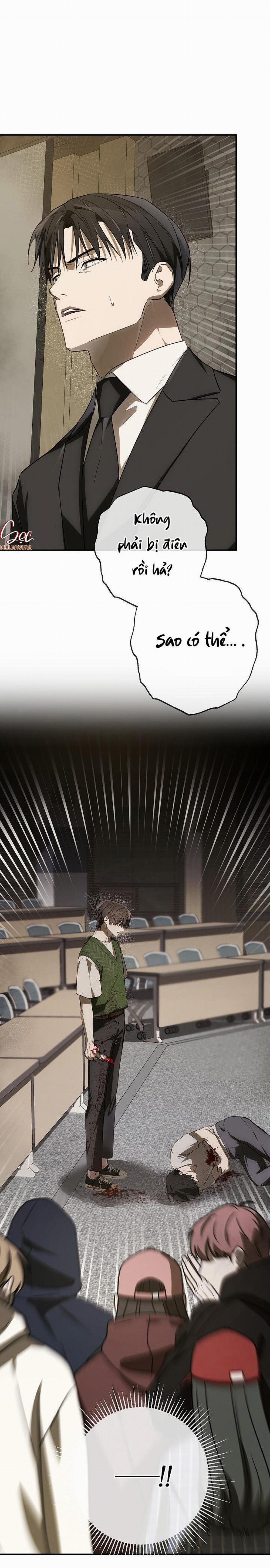 BẢO VẬT 17 trang 43