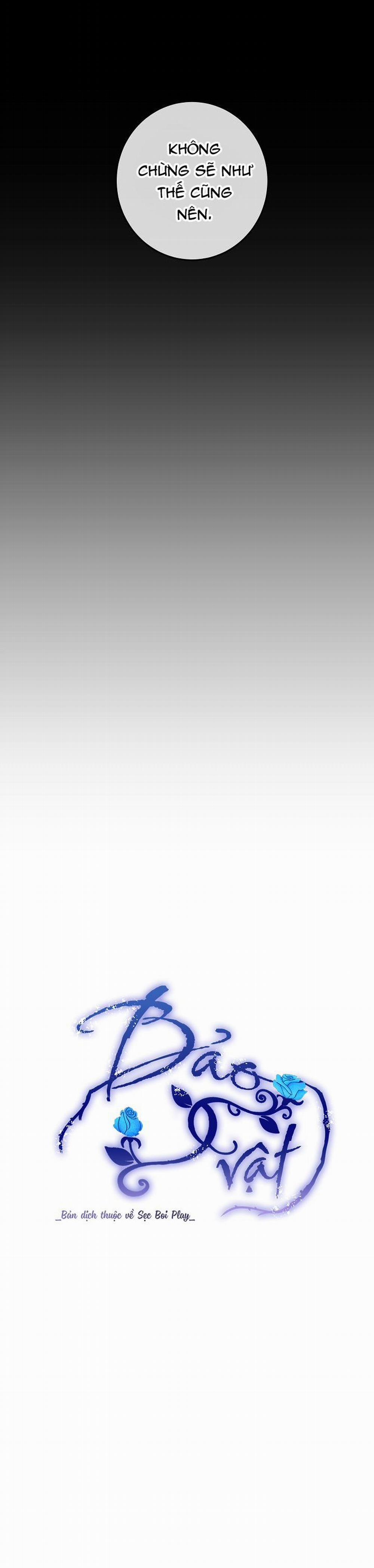 BẢO VẬT 17 trang 9