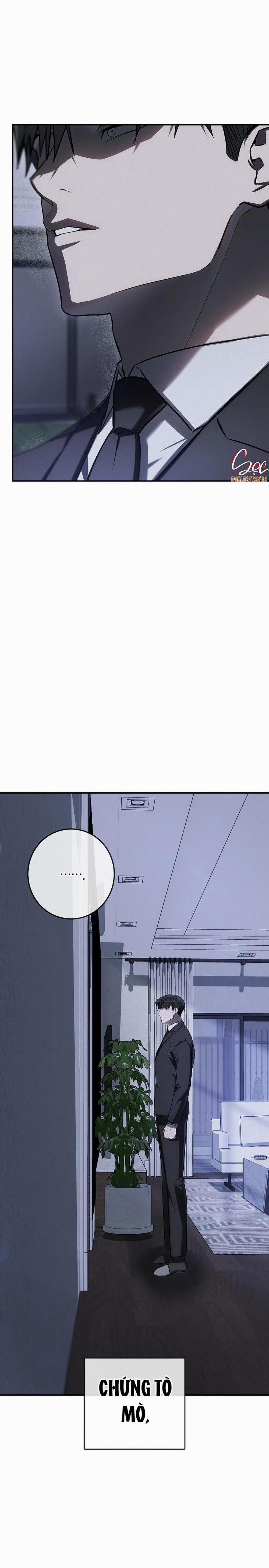 BẢO VẬT 20 trang 20