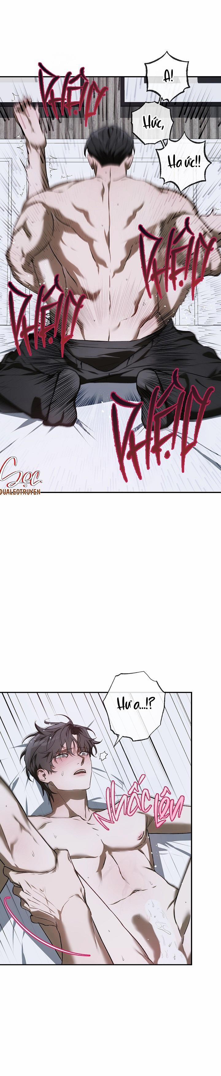 BẢO VẬT 24 trang 12