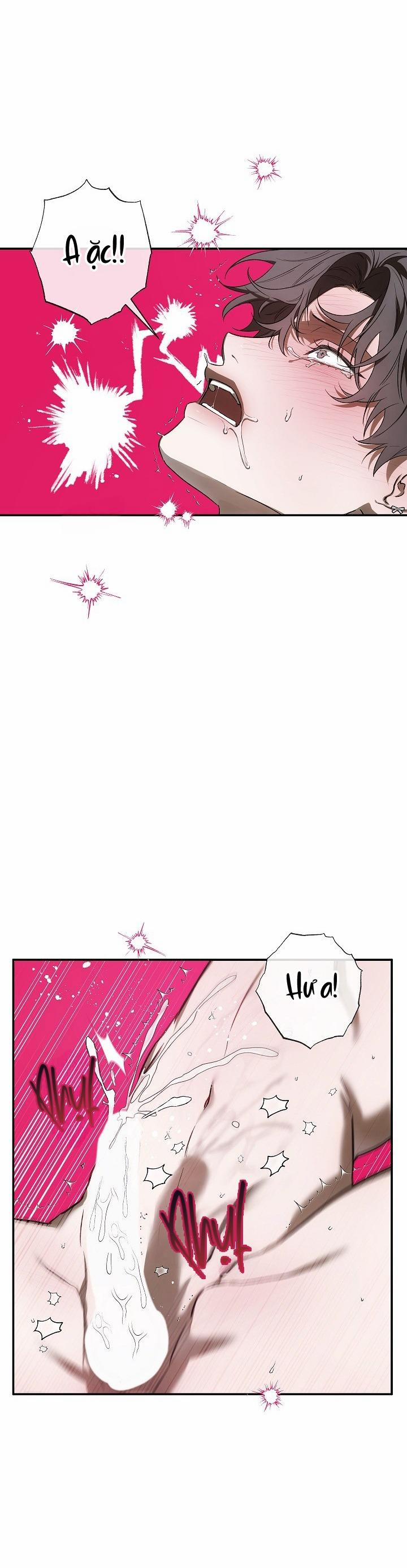 BẢO VẬT 24 trang 14