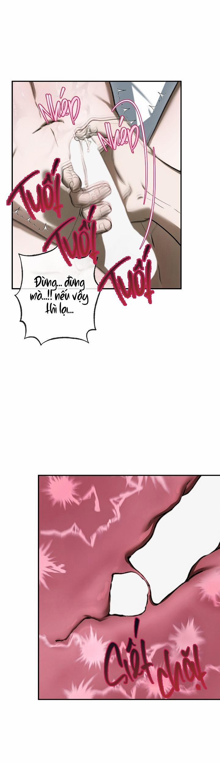 BẢO VẬT 24 trang 18