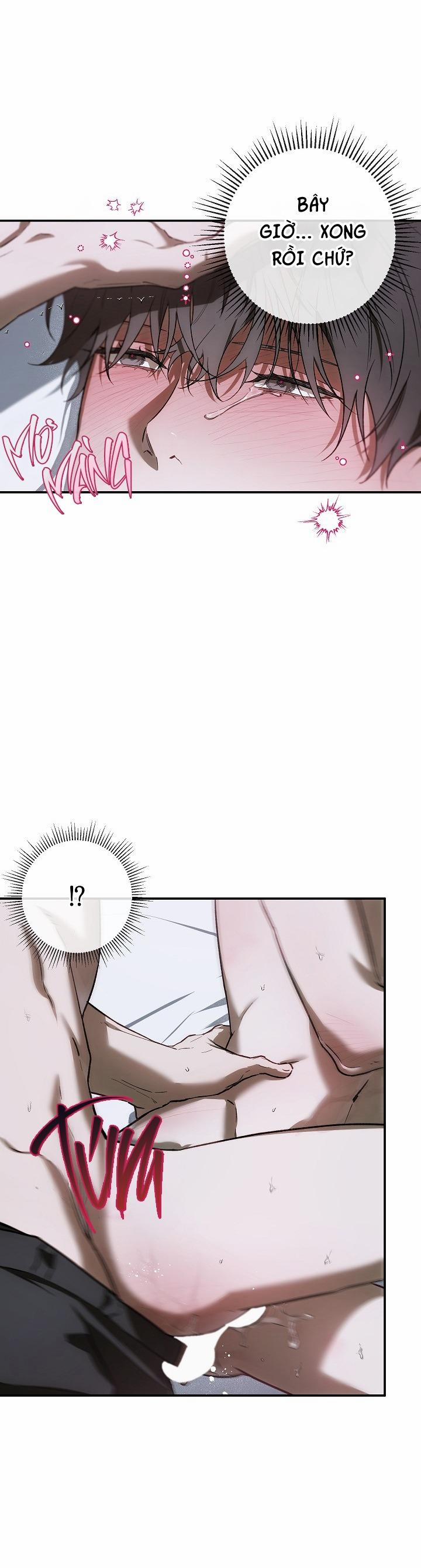 BẢO VẬT 24 trang 21