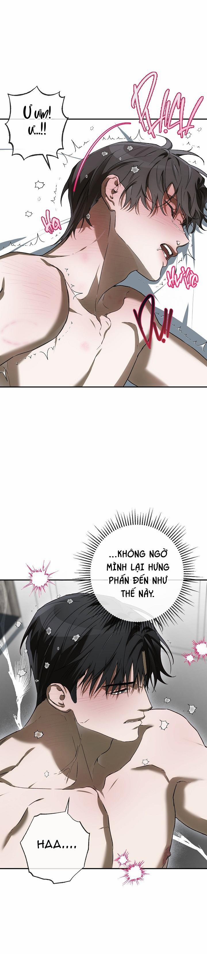 BẢO VẬT 24 trang 24