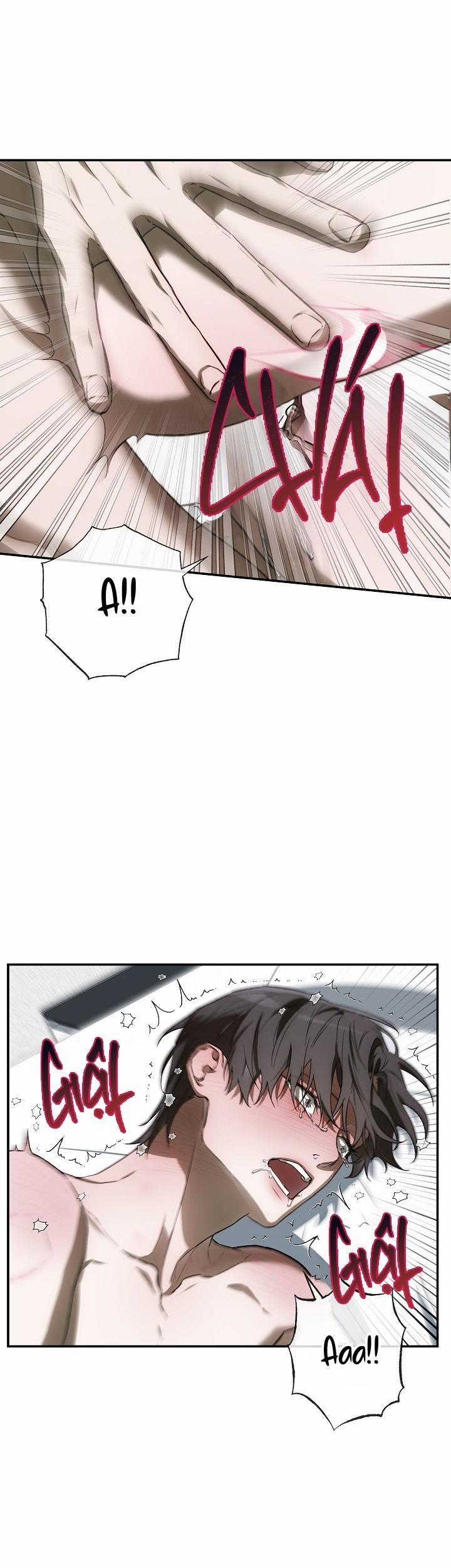 BẢO VẬT 24 trang 26