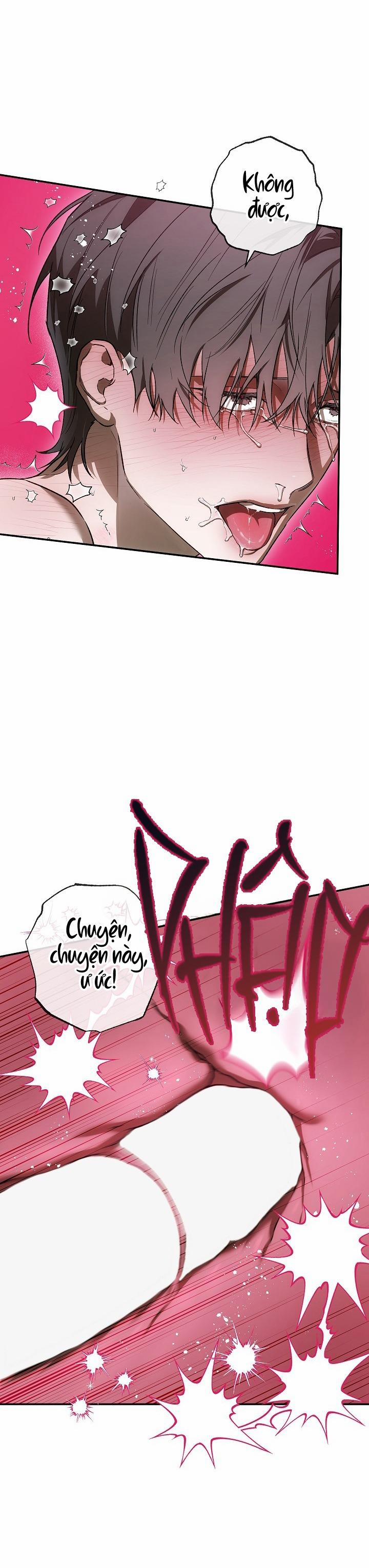 BẢO VẬT 24 trang 30