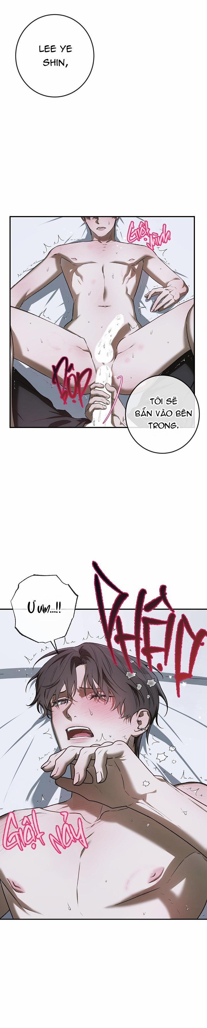 BẢO VẬT 24 trang 4