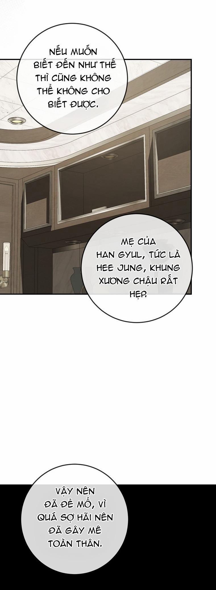 BẢO VẬT 27 trang 23