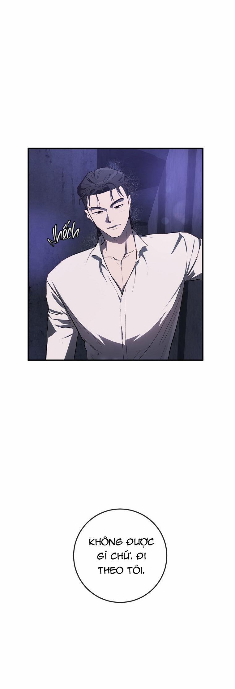 BẢO VẬT 27 trang 31