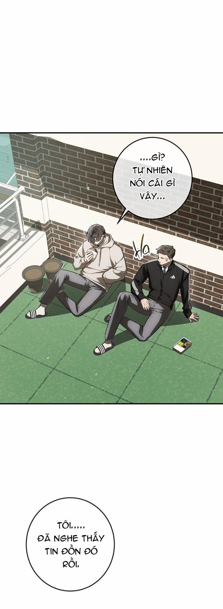 BẢO VẬT 27 trang 8