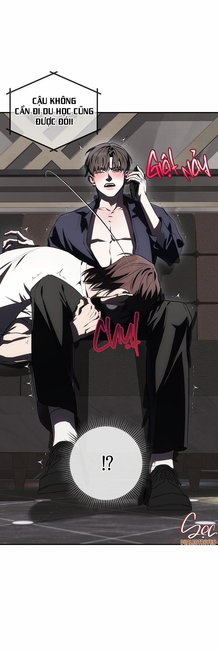 BẢO VẬT 28 trang 2