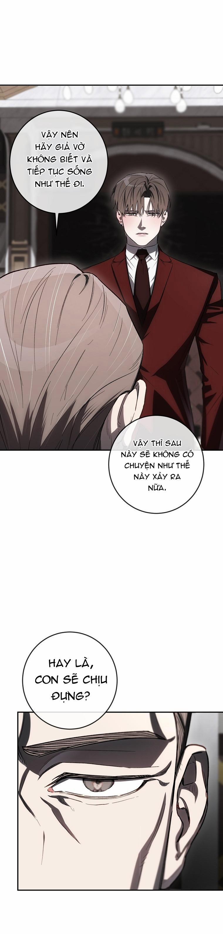 BẢO VẬT 28 trang 40