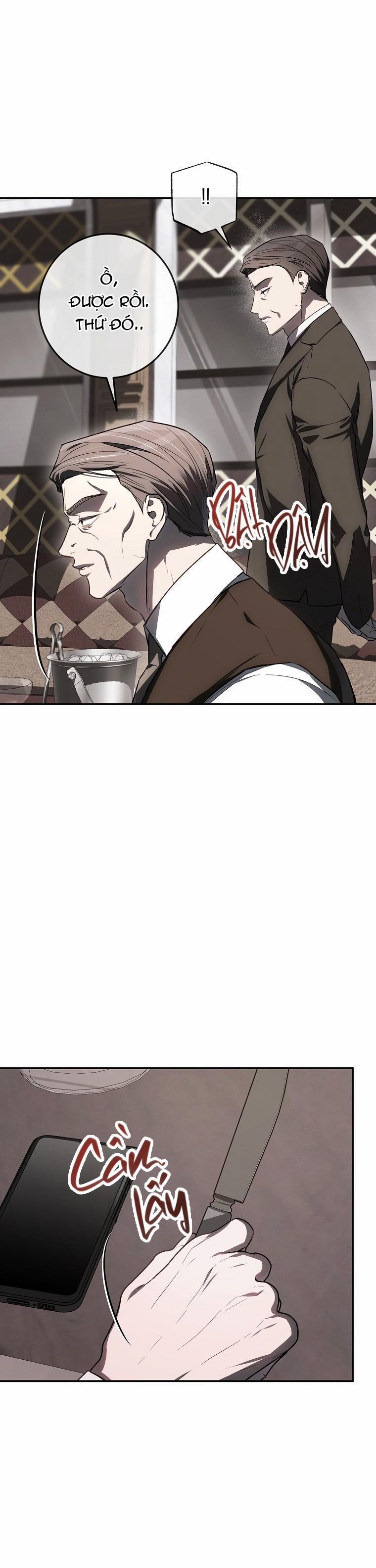 BẢO VẬT 28 trang 43