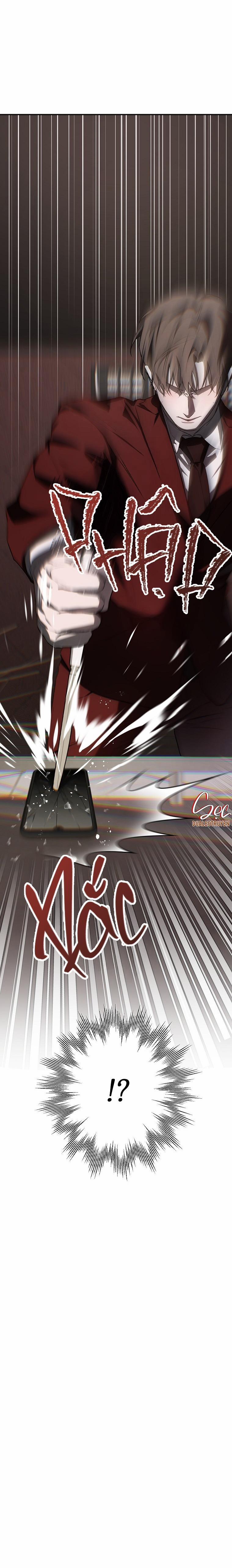 BẢO VẬT 28 trang 44