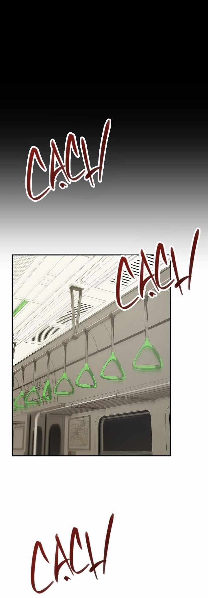 BẢO VẬT 29 trang 16