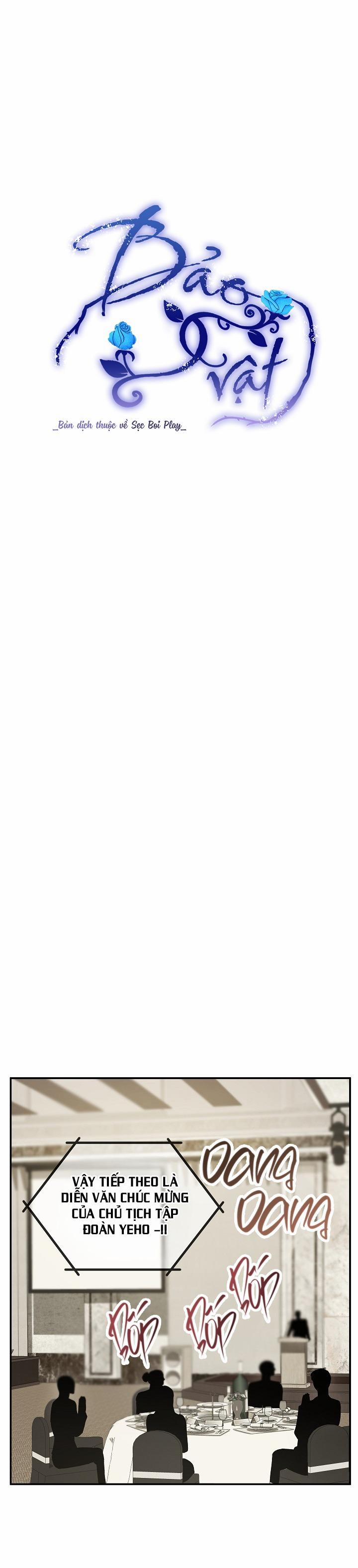 BẢO VẬT 29 trang 3