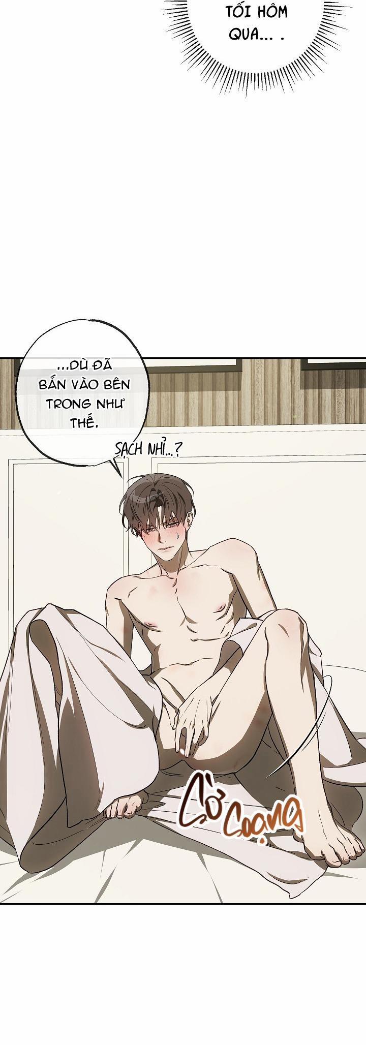 BẢO VẬT 29 trang 31