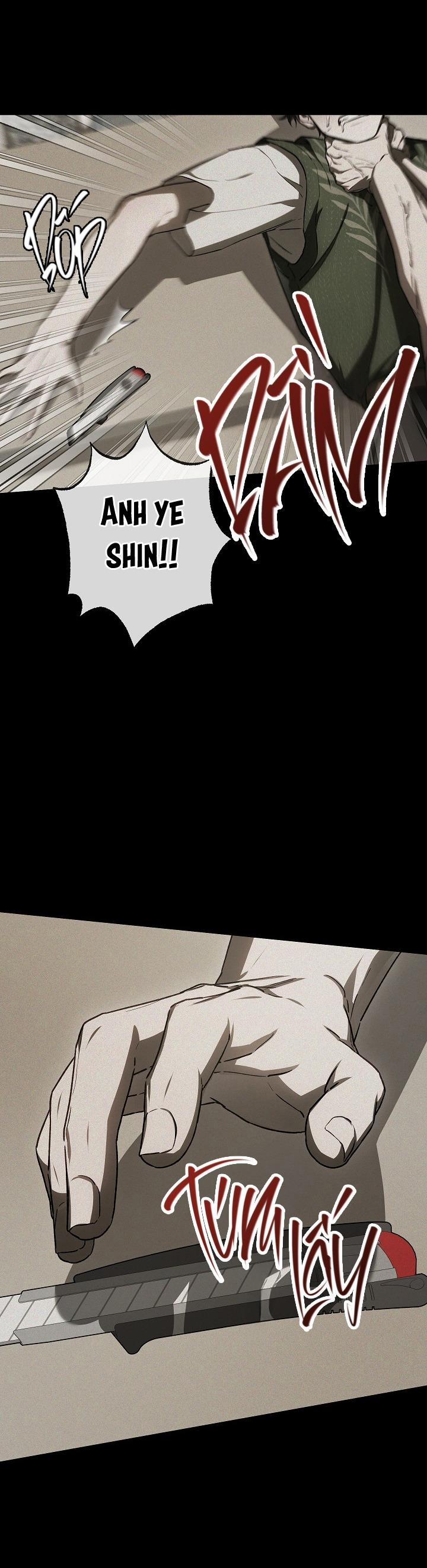 BẢO VẬT 29 trang 39