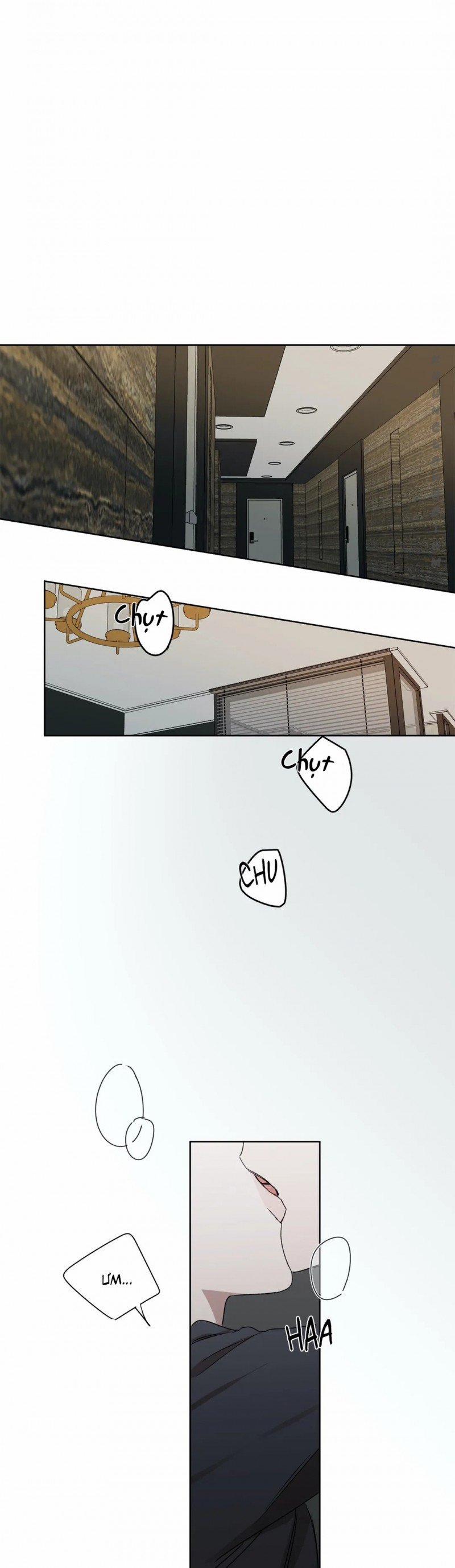 Bảo Vệ Em 4 trang 0