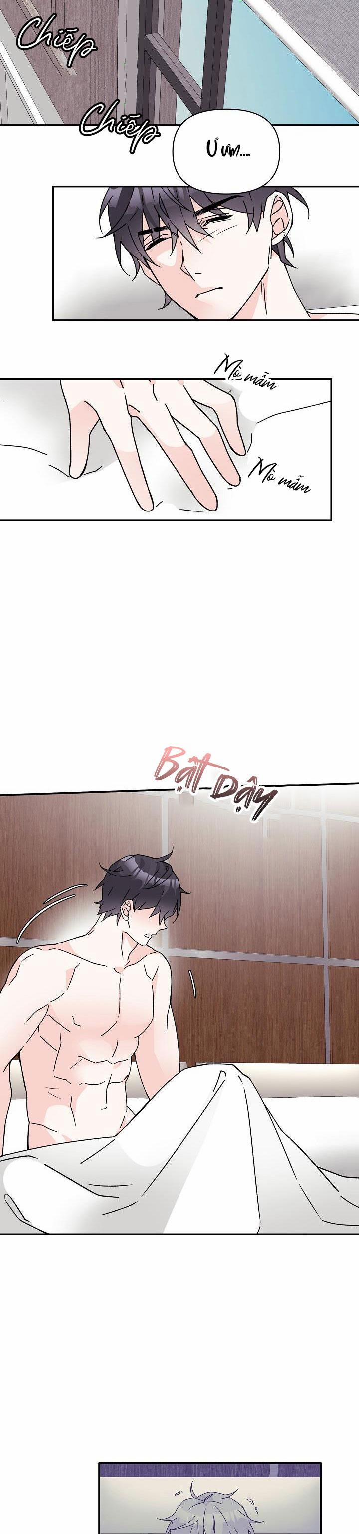 Bảo Vệ Trinh Tiết 8 trang 11