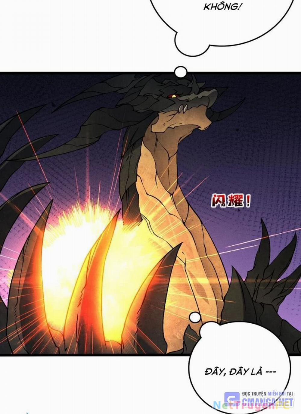 Bắt Đầu Kế Nhiệm Boss Hắc Long, Ta Vô Địch 32 trang 8