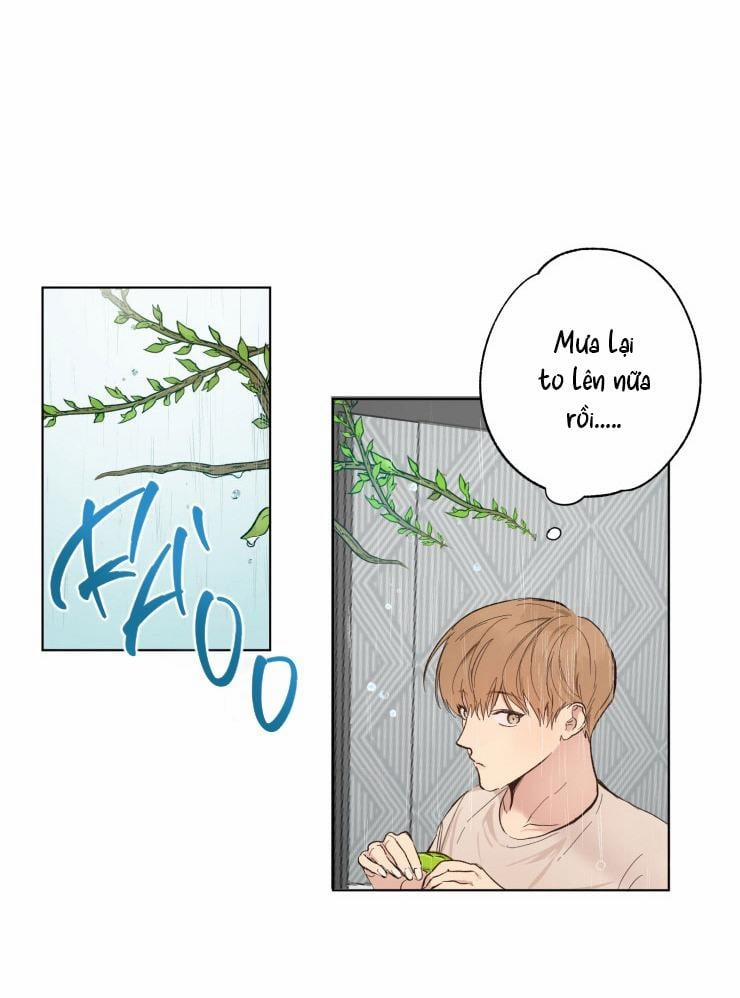 Bắt Đầu Từ Việc Sống Chung 1 trang 21