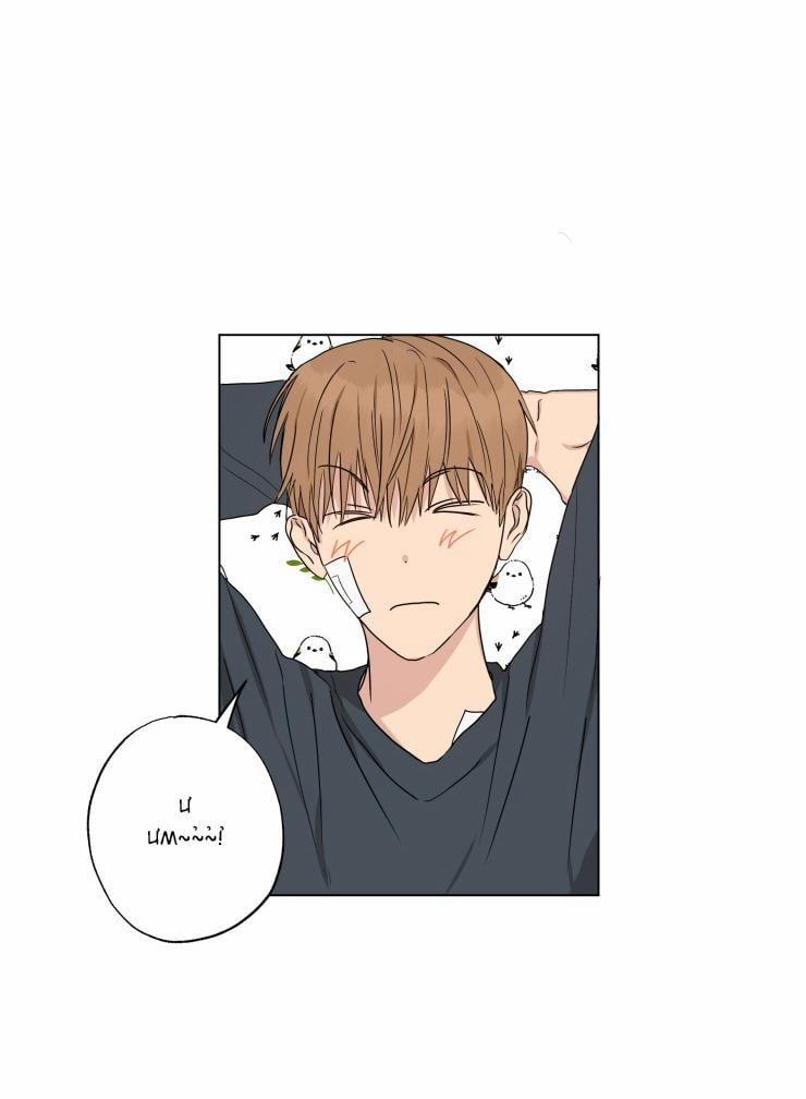 Bắt Đầu Từ Việc Sống Chung 10 trang 29