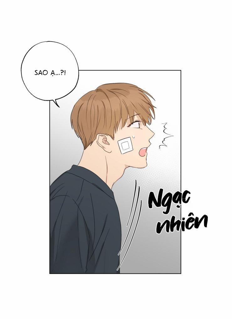 Bắt Đầu Từ Việc Sống Chung 11 trang 16