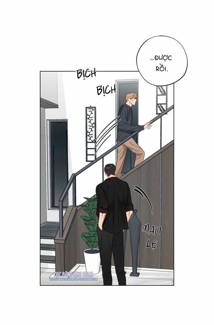 Bắt Đầu Từ Việc Sống Chung 11 trang 20