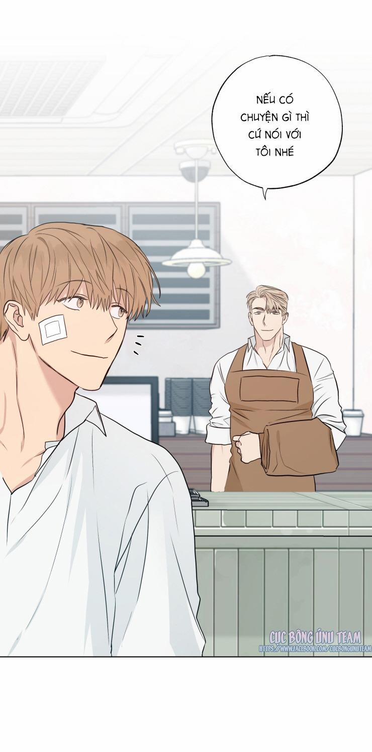 Bắt Đầu Từ Việc Sống Chung 12 trang 16