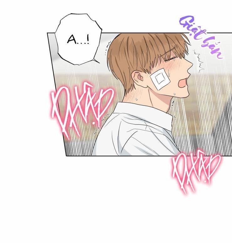 Bắt Đầu Từ Việc Sống Chung 13 trang 13