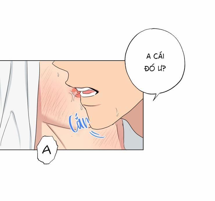 Bắt Đầu Từ Việc Sống Chung 13 trang 16