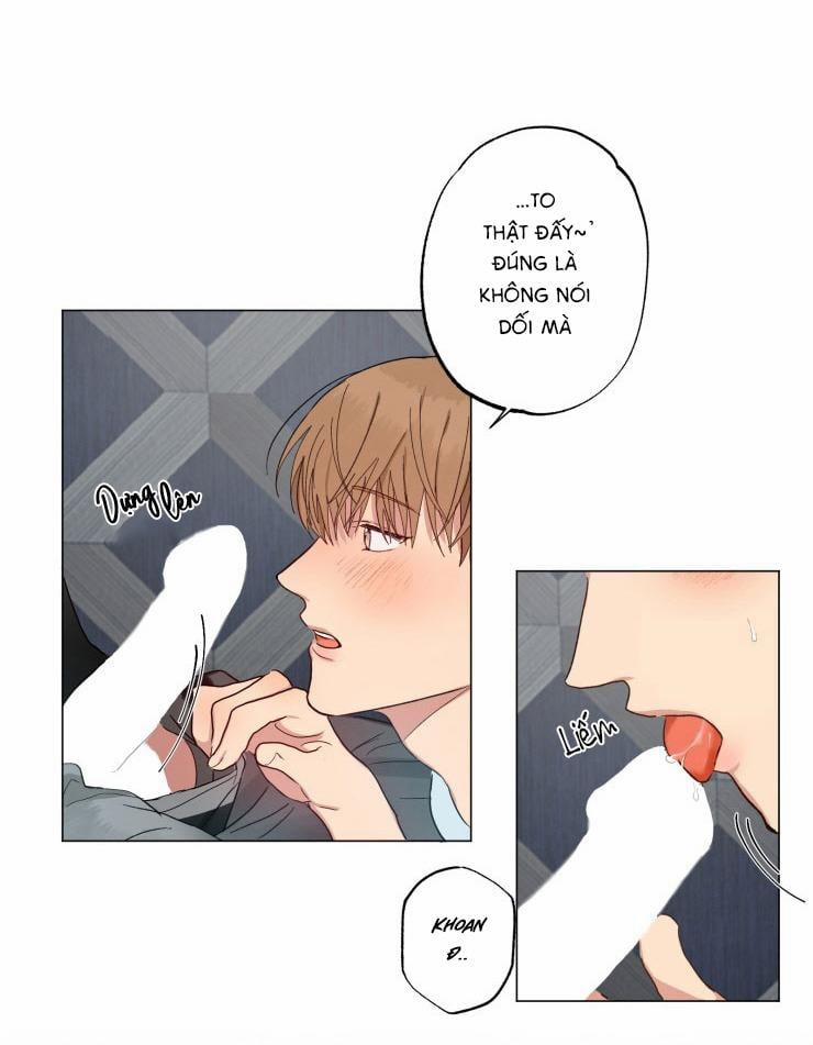 Bắt Đầu Từ Việc Sống Chung 3 trang 19