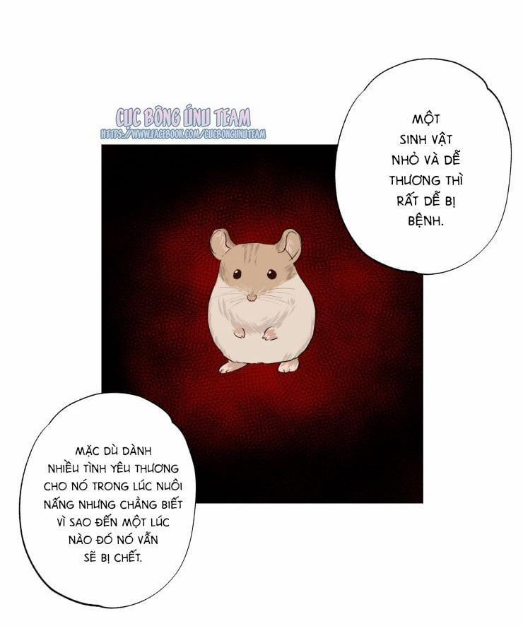 Bắt Đầu Từ Việc Sống Chung 5 trang 38