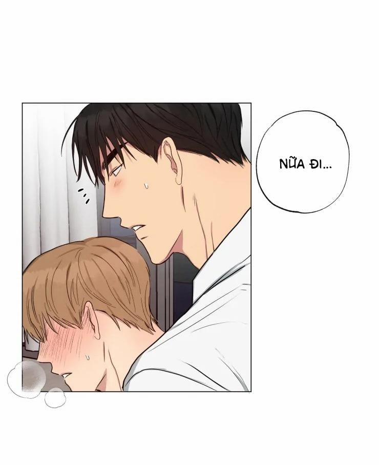 Bắt Đầu Từ Việc Sống Chung 7 trang 11