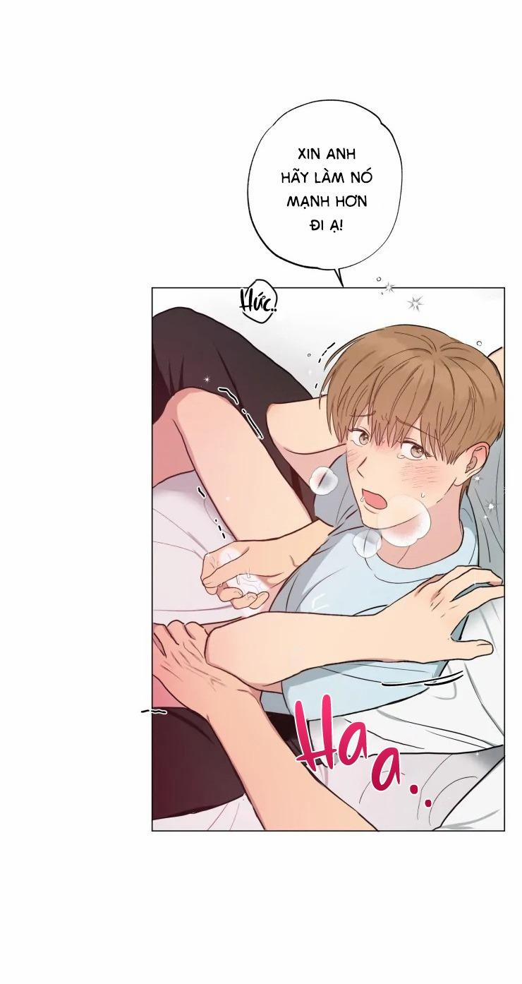 Bắt Đầu Từ Việc Sống Chung 7 trang 13