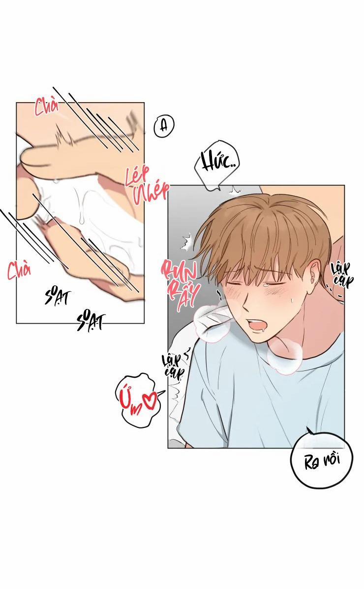 Bắt Đầu Từ Việc Sống Chung 7 trang 20