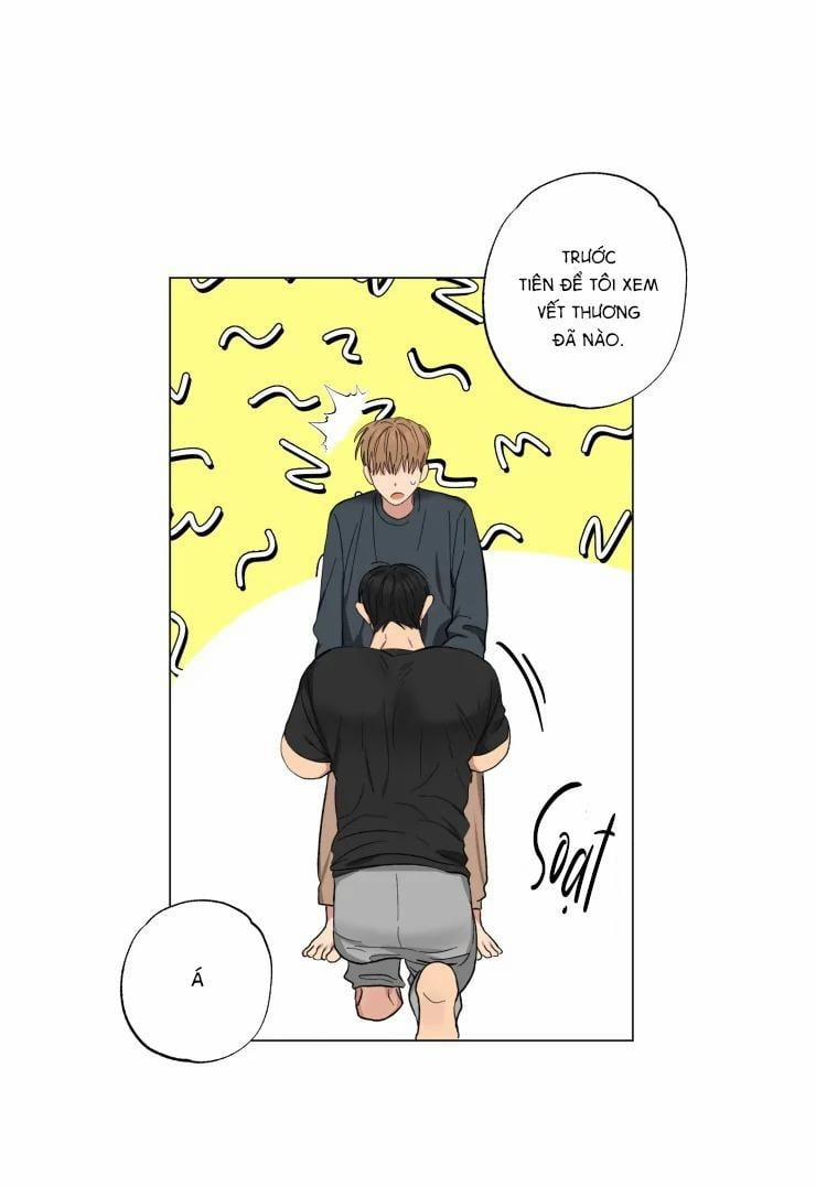 Bắt Đầu Từ Việc Sống Chung 8 trang 19