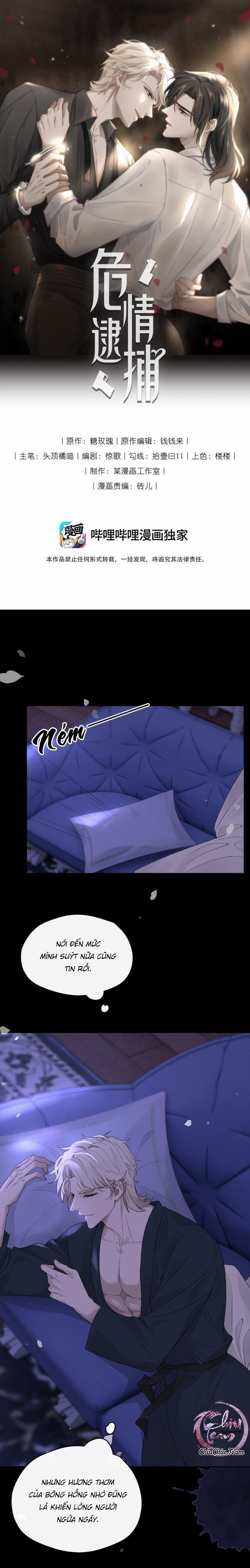 Bắt Giữ Trái Tim 14 trang 0