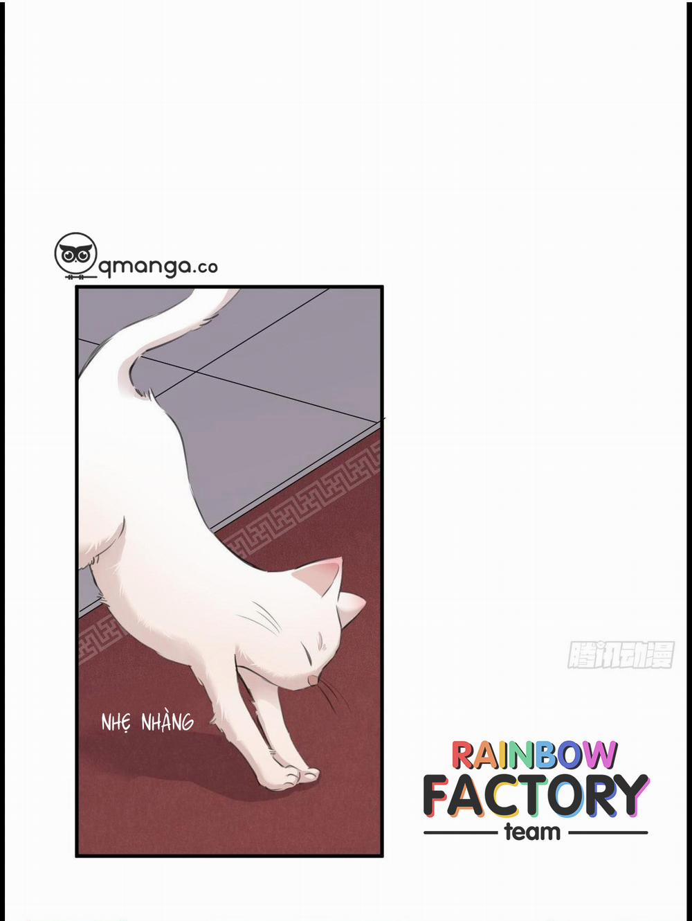 Bất Tảo Triều 31 trang 0