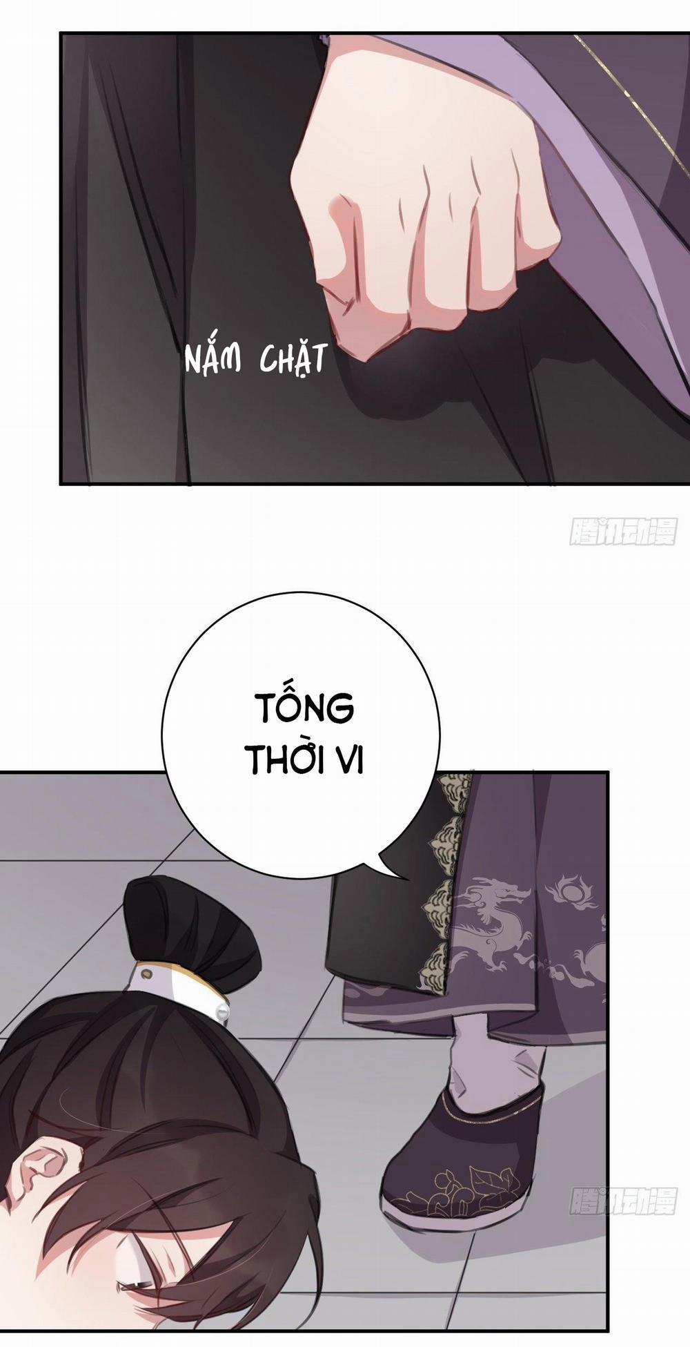 Bất Tảo Triều 31 trang 13