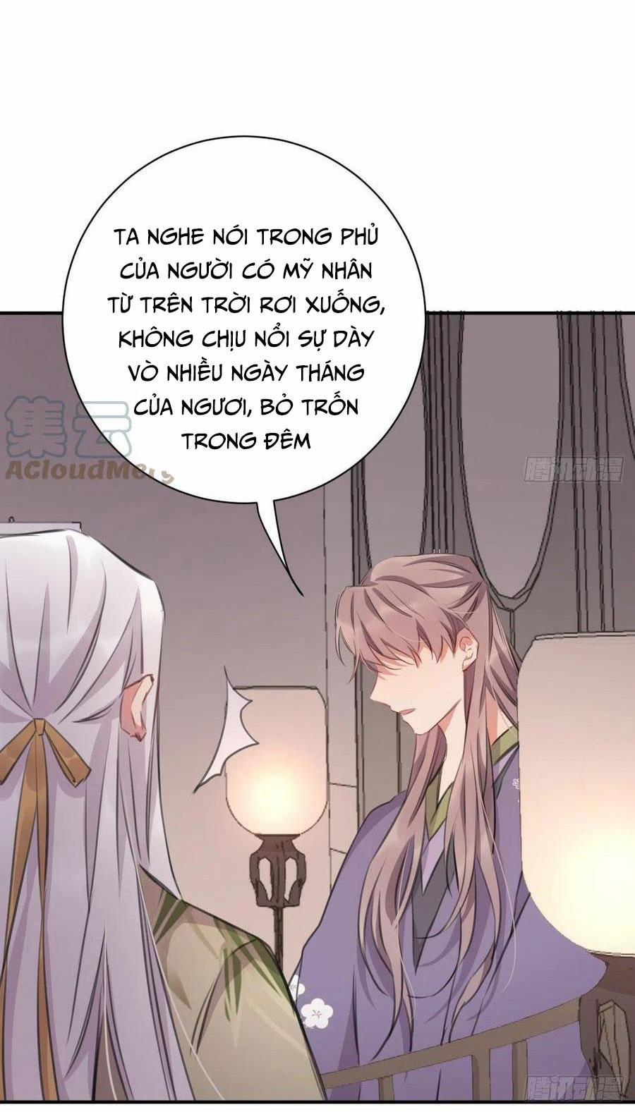 Bất Tảo Triều 41 trang 4