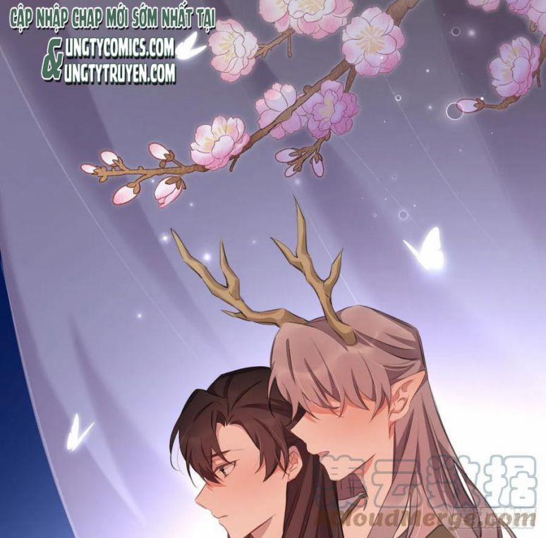 Bất Tảo Triều 42 trang 47