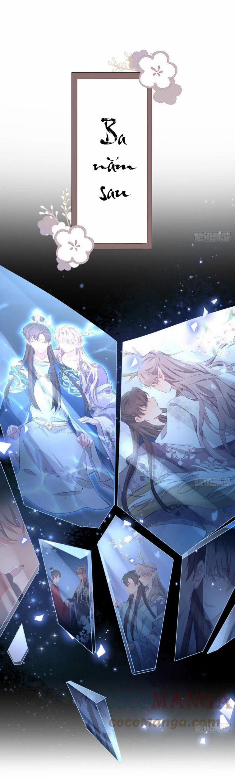 Bất Tảo Triều 50 trang 1